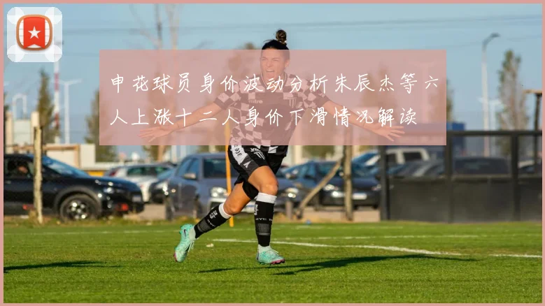申花球员身价波动分析朱辰杰等六人上涨十二人身价下滑情况解读